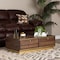 Baxton Studio Cormac Transitional Walnut Brown Finished Wood and Gold Metal 2-Drawer Coffee Table 208-12136 - alternate 1